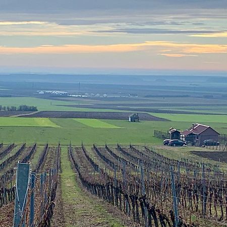 Вилла Kuca Za Odmor Kiss-Karanac,Baranja Экстерьер фото