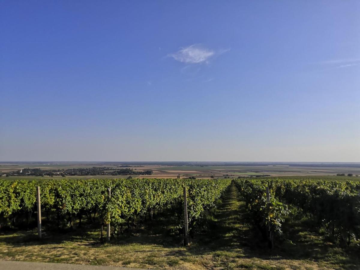 Вилла Kuca Za Odmor Kiss-Karanac,Baranja Экстерьер фото