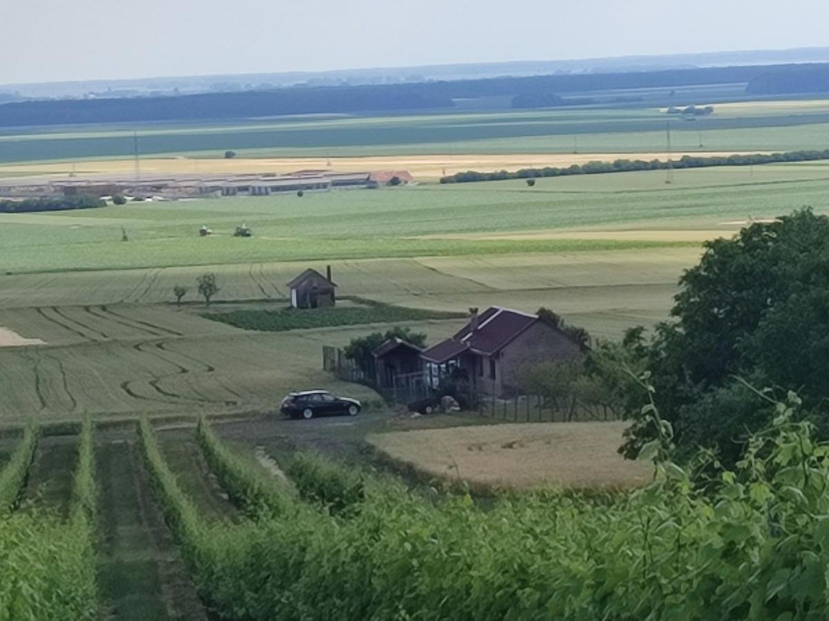 Вилла Kuca Za Odmor Kiss-Karanac,Baranja Экстерьер фото